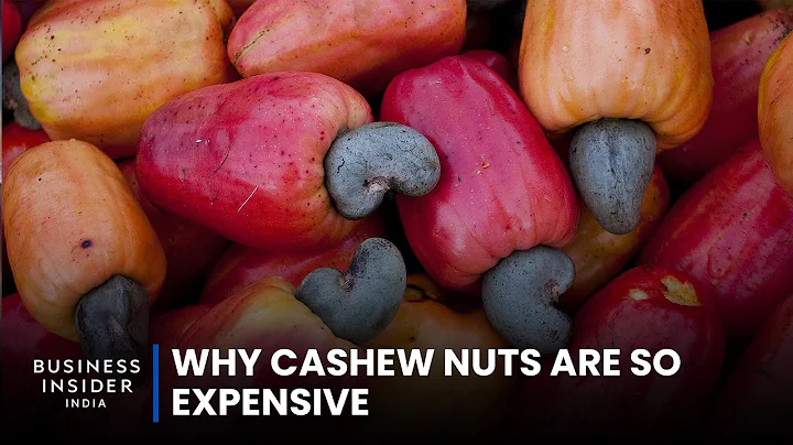Why Cashew Nuts Are So Expensive | So Expensive