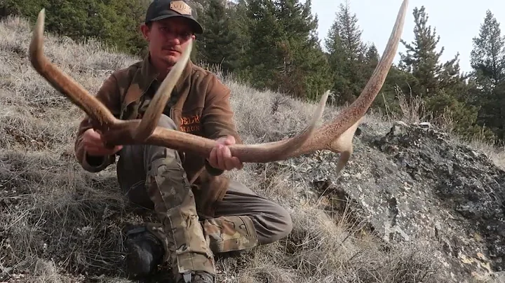 2022 Elk Browns Brandon Pitcher Part 4 ( Glassing up a stud )