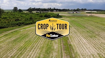 The four protocols of effective application | Application Crop Tour 2020