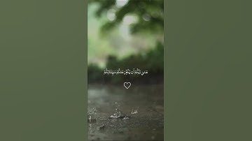 قرآن كريم بصوت الشيخ ماهر المعيقلي ❤️‍🩹🤍 #قرآن #قران_كريم #اكسبلور #المصحف #subscribe #لايك #مطر