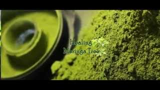 Organic Moringa Powder (Mega Green)