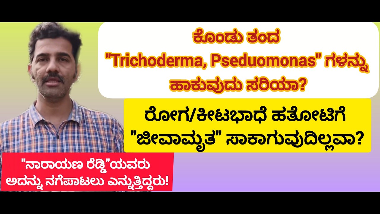 ಕೊಂಡು ತಂದ Trichoderma and Pseudomonas ಹಾಕುವುದು ಸರಿಯಾ? ಜೀವಾಮೃತ ಸಾಕಾಗುವುದಿಲ್ಲವ?