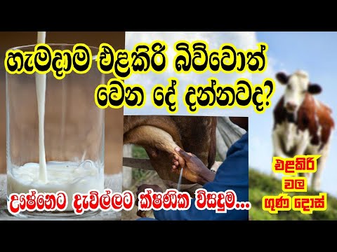 එළක ර වල ග ණ Benefits Of Fresh Milk Sakalawaga