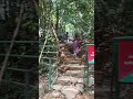 തുഷാരഗിരി വെള്ളച്ചാട്ടം| Thusharagiri Waterfalls #waterfalls#calicut#kannur#thusharagiri#viralvideo