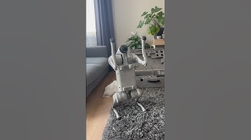 Pies robot ♥️ Unitree Go 2