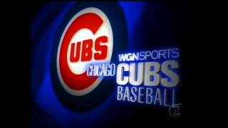 Celebrity WGN Sports - Chicago Cubs Net Worth