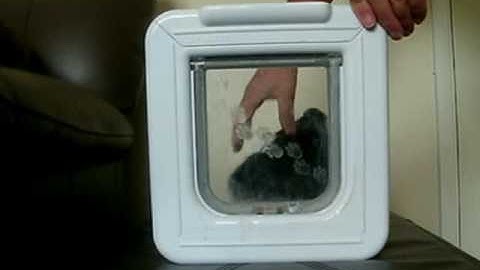 elite v sureflap.   noisy catch