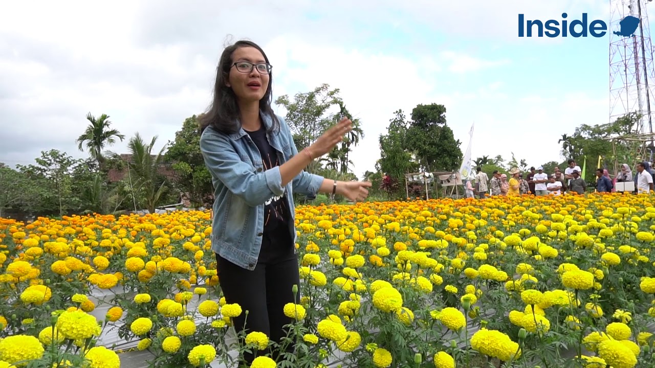 Berkunjung Ke  Taman  Bunga  Narmada Botanic Garden YouTube