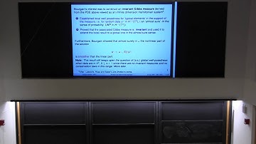 Gigliola Staffilani - The Study of Wave and Dispersive Equations