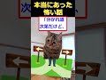 【猫ミーム】謎の男ショウタさん　#2ch #ゆっくり実況 #猫ミーム