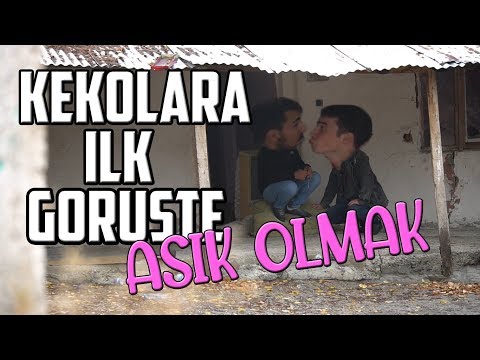 KEKOLARA İLK GÖRÜŞTE AŞIK OLMAK! - ( KURTULAMADIM! )