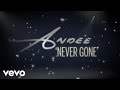 Andee - Never Gone