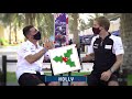 Xmas quiz jose maria lopez x brendon hartley