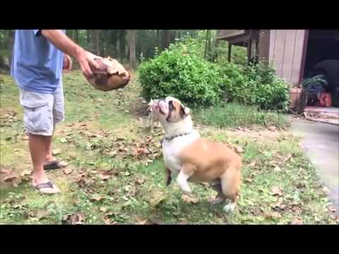 ციფრული დაიჯესტი TV3-ზე 01.10.14