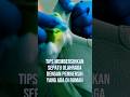 Tips membersihkan sepatu dengan bahan pembersih di rumah