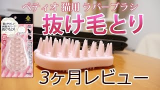 【3ヶ月使用レビュー】ペティオ (Petio) プレシャンテ 猫用 ラバーブラシを短毛な茶トラ猫に使用