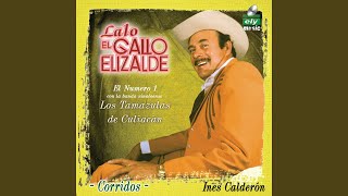 Video thumbnail of "Lalo El Gallo Elizalde - Macario Leyva"