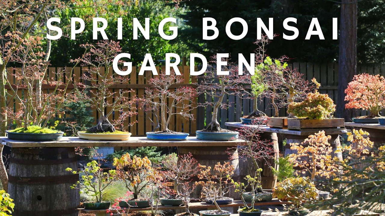 Momiji-En: Refreshed Spring Garden in 2026 - YouTube