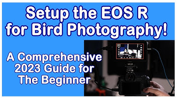 Setup the Canon EOS R for Bird Photography: A Comprehensive 2023 Guide, with an In-The-Field Demo.