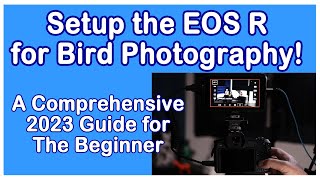 Setup the Canon EOS R for Bird Photography: A Comprehensive 2023 Guide, with an InTheField Demo.