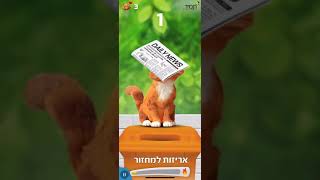 כתומולו של תמיר, משחק המחזור של דדי החתול