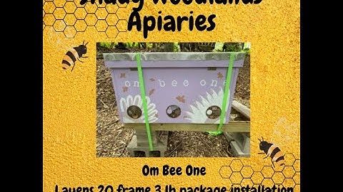 3 lb Bee Package Install 20 Frame Layens Horizontal Hive May 1, 2021