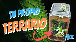 Como hacer un terrario de plantas (y no fallar en el intento)