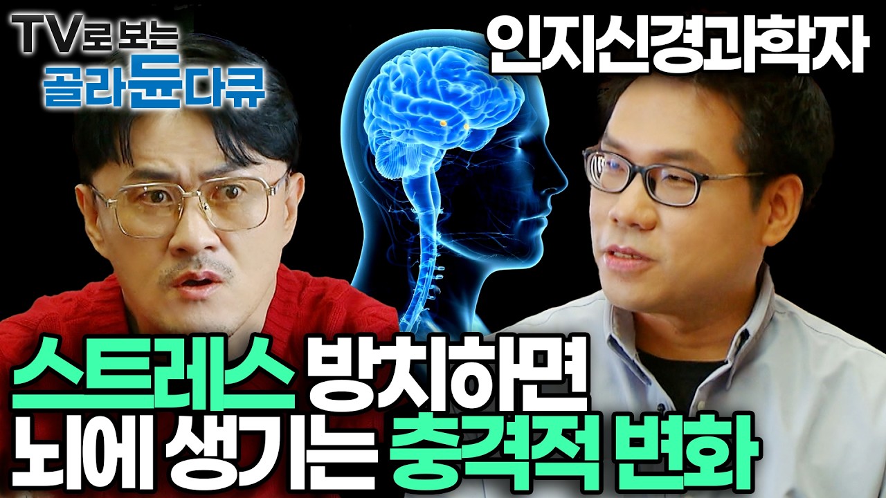 계속된 스트레스가 뇌 신경망을 끊어버린다?불안에서 해방되는 가장 과학적인 방법｜매일 밤 잠 못 드는 사람들에게 나타나는 치명적인 증상｜코르티솔과 뇌 건강｜불안 원인｜#골라듄다큐