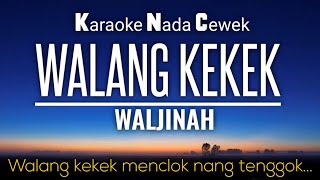 Walang Kekek Karaoke Nada Rendah Cewek