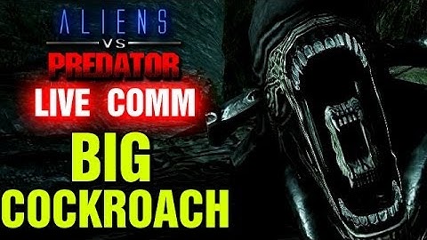 BIG Cockroach - AVP Live Comm