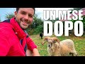 Stanno BENE le PECOREðŸðŸ‘ðŸ?