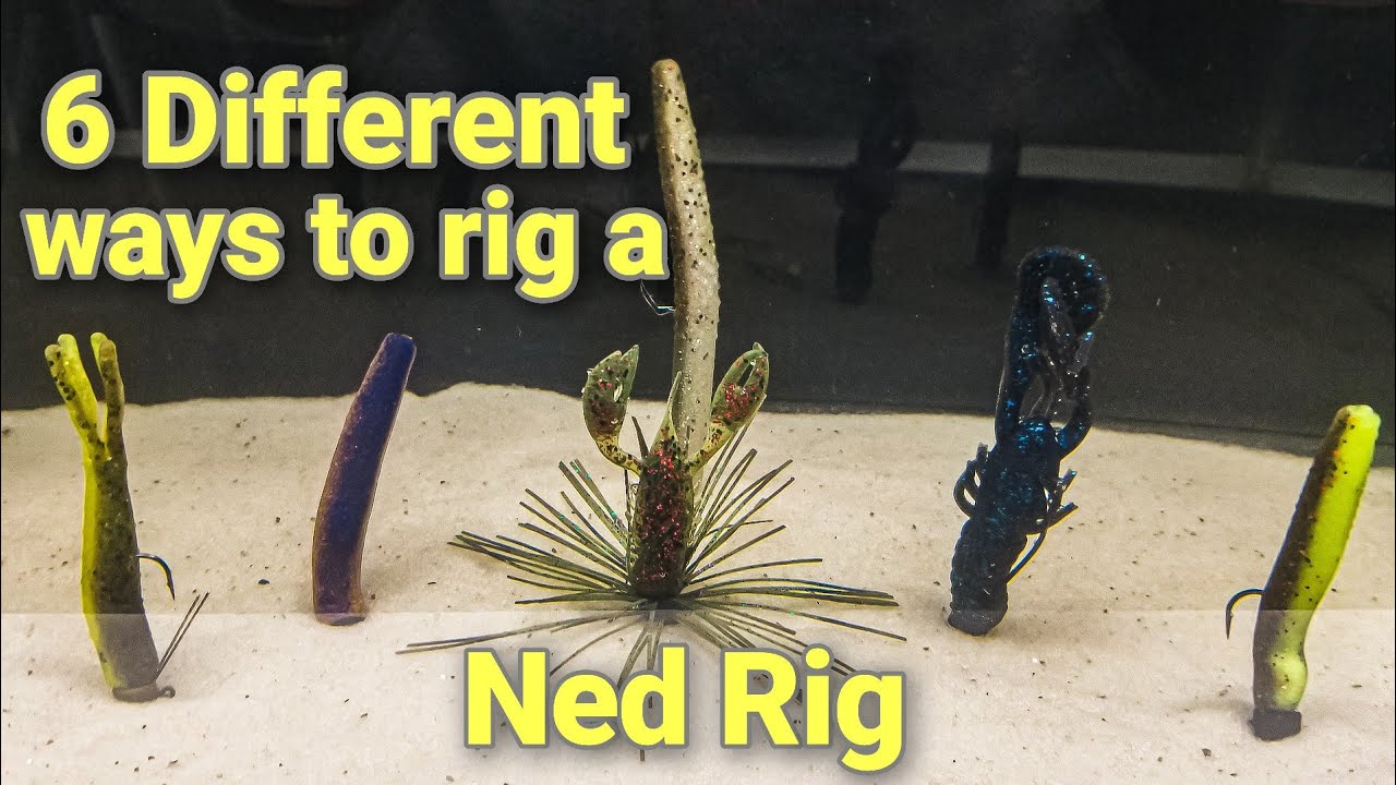 How to Rig the Z-Man Finesse TRD 5 Different Ways! - Bass Fishing