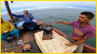 Rotina do Pescador em Alto Mar: Peixe Frito no Café da Manhã???