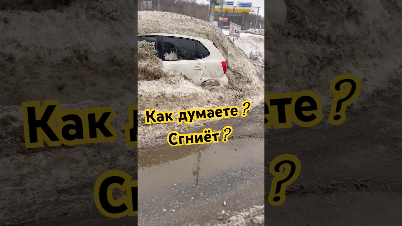 Как думаете Сгниёт? В профиле Авто из Европы и не только !  