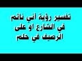 تفسير رؤية النوم في الشارع او على الرصيف في حلم         