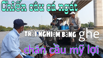 Câu cá ngát dưới trụ cầu mỹ lợi cá ăn thấy mê/sống và đam mê