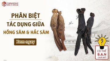 Khỏe Cùng Thịnh Phát #2 | Hồng Sâm Và Hắc Sâm Khác Nhau Như Thế Nào?