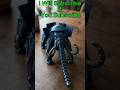 Woolly Mammoth & Mechanical #shorts