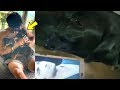 Sushant Singh Rajput Dog Fudge CRYING Badly & MISSING Him Will Break Your Heart!