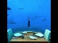 Ithaa undersea restaurant at conrad maldives rangali island