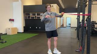 Face Pull Y Press