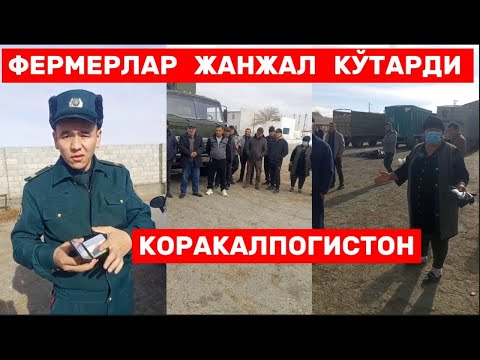 Видео: ФЕРМЕРЛАР АВЖИГА ЧИКДИ! Президентга мурожаат!