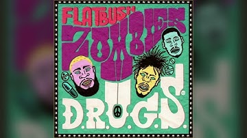 Flatbush Zombies - Dat Intro