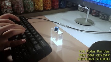 Yok Polar Pandas Switch Typing Sounds ASMR, PBT DSA Profile Keycap