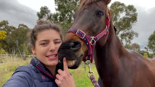 eventing in 2022 by brianna harris 506 views 11 months ago 6 minutes, 54 seconds