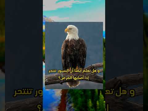 هل تعلم عن الحيوانات معلومة قصيرة 