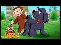 Coco der Neugierige Affe 🐵 Coco, der Hundetrainer 🐵 Cartoons für Kinder🐵 Coco der Affe Ganze Folgen