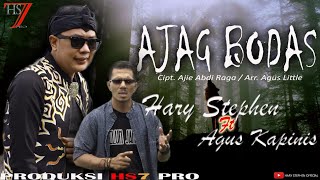 AJAG BODAS - Hary Stephen ft. Agus Kapinis