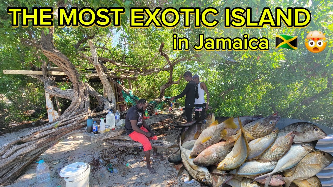 SPEARFISHING WITH ONE OF THE MOST DEADLIEST IN JA🇯🇲[CATCH&COOK] 