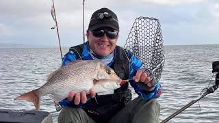 Sunrise Snapper -Jervis Bay, NSW